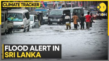 Flash floods batter Sri Lanka, fallen trees kills at least 14 | WION Climate Tracker