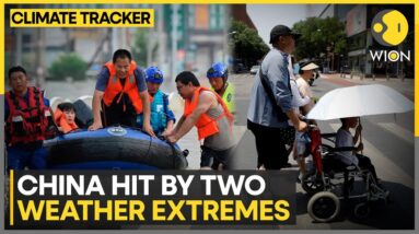 China: Heavy rains & floods in south, drought fears due to heatwave in North | WION Climate Tracker