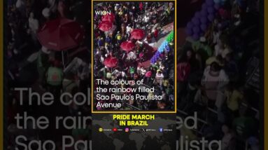 Sao Paulo awash in colour for massive pride march | WION Shorts