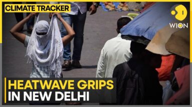 India: National Capital sizzles at 46°C as heatwave conditions grip north India | Climate Tracker