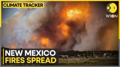 New Mexico fire spreads rapidly, state governor declares emergency | WION Climate Tracker