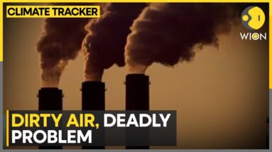 Study links pollution to 135 million deaths | WION Climate Tracker