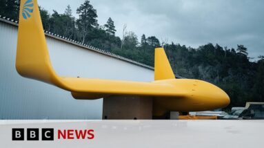 The underwater 'kites' generating electricity as they move | BBC News