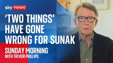 'Two things' have gone wrong for Sunak, claims ex-Labour communications chief