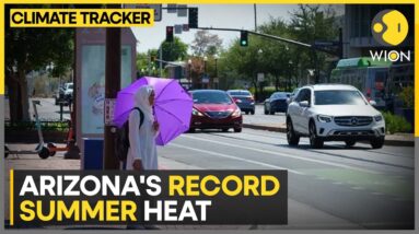 US: Trump supporters in Arizona brave heat | WION Climate Tracker