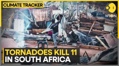 Tornado In South Africa: Large-scale destruction due to tornado | WION Climate Tracker