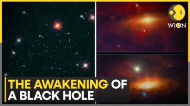 Virgo Galaxy Black Hole activated | Latest News | WION