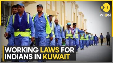 Kuwait Fire Tragedy: What are the laws for Indians working in Kuwait? |  WION