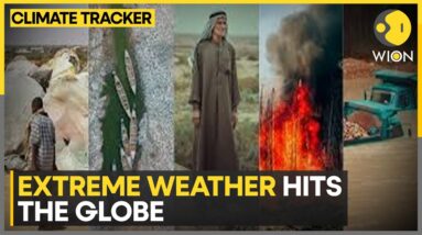 World sizzles as mercury peaks | WION Climate Tracker