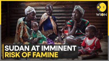 Humanitarian crisis worsening in Sudan, at imminent risk of famine: UN warns | World News | WION