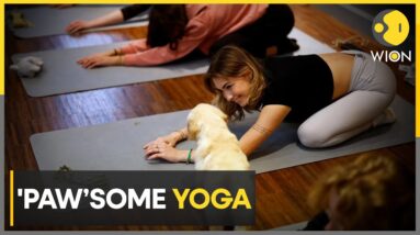 Yoga with your furry friends | International Day of Yoga | WION