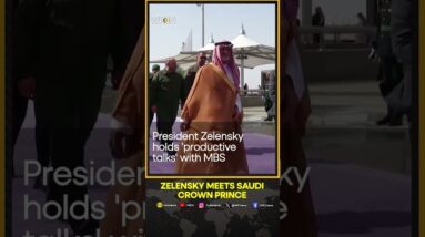 Zelensky meets Saudi Crown Prince MBS in Jeddah | WION Shorts