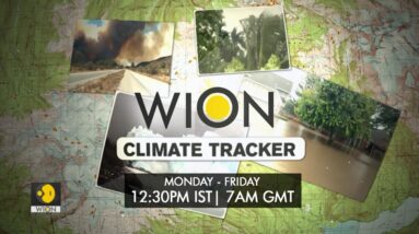 Wildfires, Droughts & Melting Glaciers | Can we reverse the damage? | WION Climate Tracker Promo