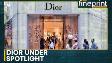 Chinese-owned leather bag supplier of Dior under investigation | WION Fineprint