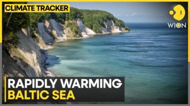 Baltic Sea warming at twice the pace of global oceans: Study; rapidly warming Baltic Sea | WION