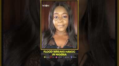 18 states on red alert as flood kills 15 in Nigeria | WION Shorts