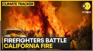 California wildfires: More than 3,500 acres of land consumed | WION Climate Tracker