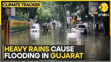 Flood Fury: Waist-deep water levels recorded in India's Gujarat | WION Climate Tracker