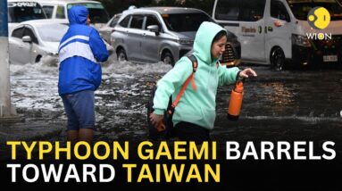 Typhoon Gaemi LIVE: Taiwan braces for Typhoon Gaemi, suspends work, cancels flights | WION LIVE