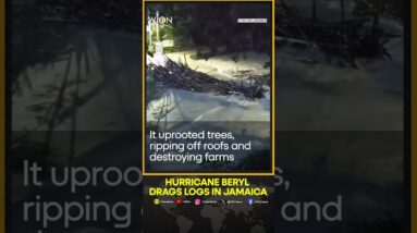 Hurricane Beryl floodwaters submerge bridge, drag logs in Jamaica | WION Shorts