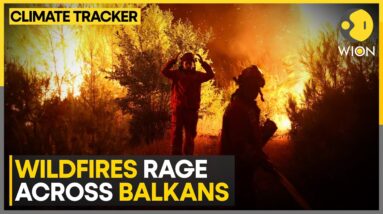 Heat & dry conditions spark Wildfires: Balkan countries seek assistance from the European Union