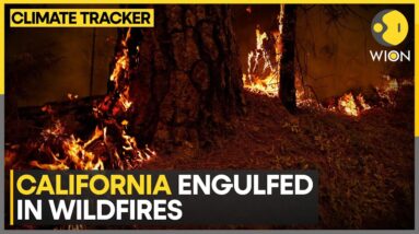 Northern California blaze burns over 350,000 acres, becomes largest in US | WION Climate Tracker