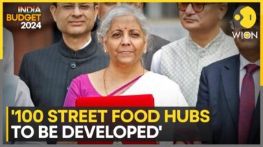 Budget 2024 | Nirmala Sitharaman: '100 food safety labs to be set up' | WION