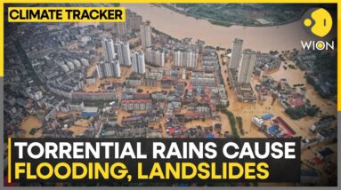 China: Flood havoc in cities in southern China | WION Climate Tracker