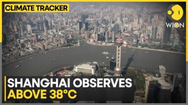 China warns of hotter & longer heatwaves | WION Climate Tracker