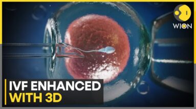 Chinese researcher enhance IVF with 3D | WION