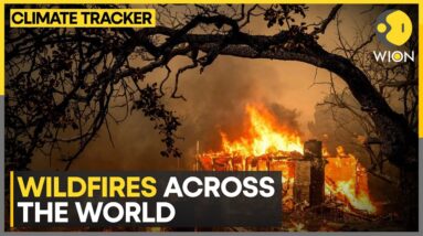 Climate change making wildfires intense | WION Climate Tracker