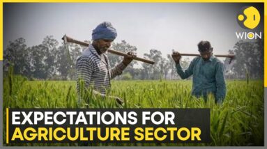 India budget 2024-25:Key Expectations For Agriculture Sector | Business News | WION