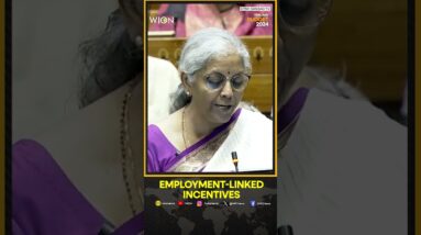 India Budget 2024: Employment-linked incentives announced by Nirmala Sitharaman