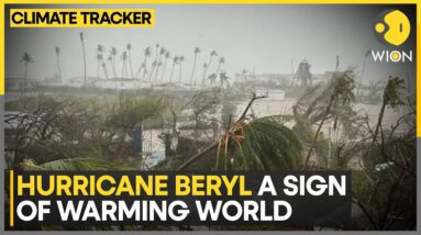 Does climate change affect hurricanes? | WION Climate Tracker