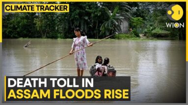 India: Floodwaters damage roads, bridges & river embankments, death toll rises to 84 in Assam | WION