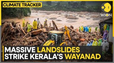 India: At least 151 dead in Wayanad landslide, extreme weather hampering rescue efforts | WION