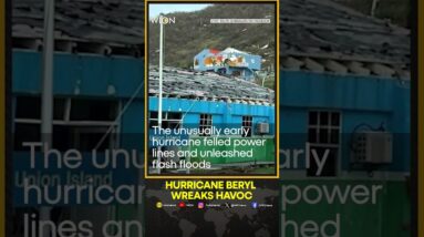 Hurricane Beryl leaves a trail of destruction in St. Vincent and the Grenadines | WION Shorts