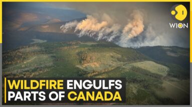 Canada: Wildfire devastates Western Canadian tourist town of Jasper |  WION Climate Tracker