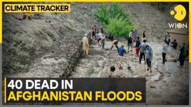 Flooding in Afghanistan leaves about 40 people dead | World News | WION Climate Tracker