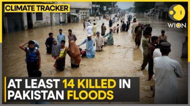 Flash floods triggered by monsoon rain | WION Climate Tracker