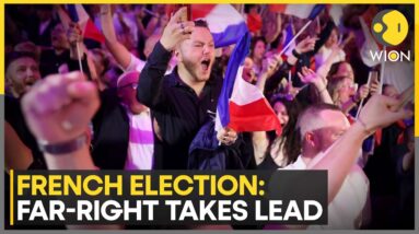 France elections: What are Marine Le Pen's plans for France? | WION