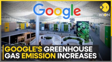 Google's emissions up by 50%; Tech giant blames AI | World News | WION