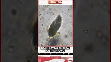 Gravitas: Brain-eating Amoeba kills in Kerala | Gravitas Shorts