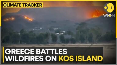 Greece: Wildfires fanned by strong winds | WION Climate Tracker