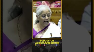 India Budget 2024: Nirmala Sitharaman announces Rs1.52 lakh crore for agriculture and allied sectors