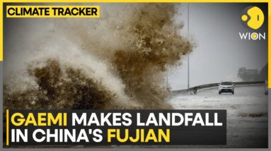 China: Typhoon Gaemi hits Chinese seaboard after razing Taiwan; warning of flash floods | WION