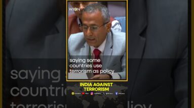 India asks world to reject "double standards" on terrorism | WION Shorts