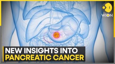 Is the cure for pancreatic cancer near? | Latest News | WION