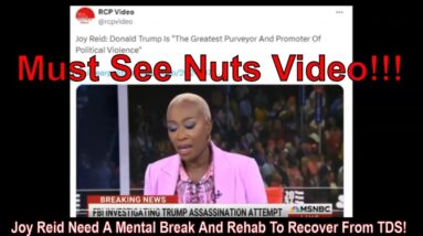 Joy Reid Need A Mental Break And Rehab To Recover From TDS!