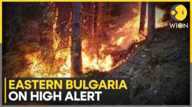 Bulgarian regions battling with fire | Alarm over soaring temperature | Latest English News | WION